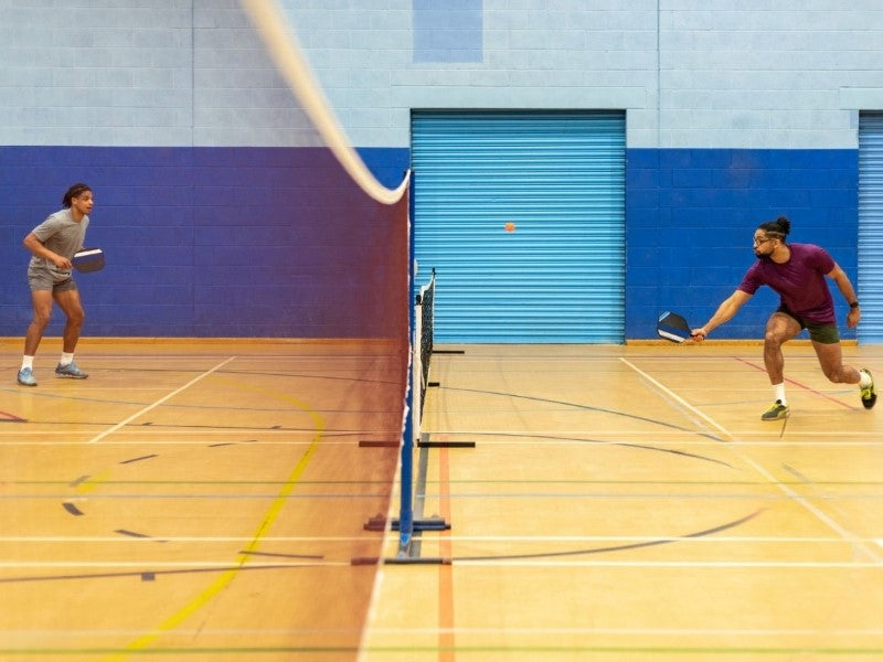 Pickleball Net Size: Regulation vs Portable Nets Compared